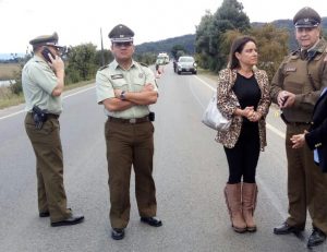 Encuentran cadáver en la ruta Valdivia-Paillaco: Habría sufrido atropello y el conductor se dio a la fuga