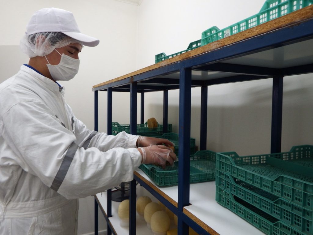 Impulsan proyecto que fortalecerá el desarrollo de pequeños productores lácteos de Los Ríos