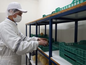 Impulsan proyecto que fortalecerá el desarrollo de pequeños productores lácteos de Los Ríos