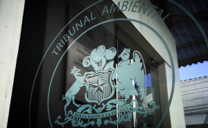 Tribunal Ambiental de Valdivia autoriza cierre temporal de empresa Ecosolución en Paillaco por riesgo ambiental