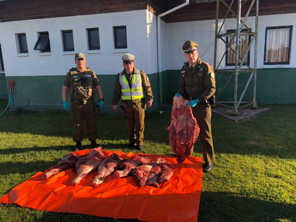 Detienen a dos personas por el transporte ilegal de 140 kilos de carne, cigarros y prendas de vestir en Paillaco