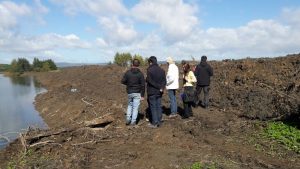 Municipio de Valdivia demandó por daño ambiental ante rellenos en humedales Angachilla, Santo Domingo y Teja Sur