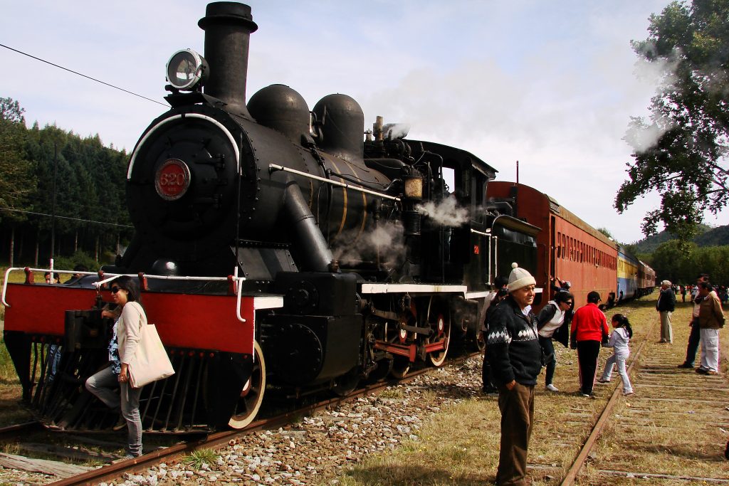 ¿Panorama dieciochero? El Tren “El Valdiviano” efectuará viajes en estas Fiestas Patrias