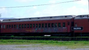 Desconocidos habrían realizado rayados en carros del tren "El Valdiviano"