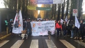 Corte Suprema decide que docente de la UACh acusado de acoso sexual no podrá ser despedido