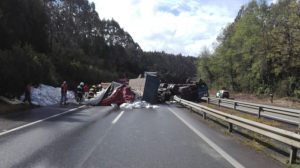 Camión que transportaba maíz volcó en la Ruta 5 Sur en Máfil