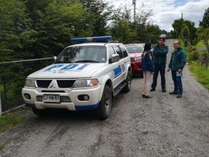 Investigan presunta caza de Pudú en Los Lagos: Individuos se habrían comido el ejemplar