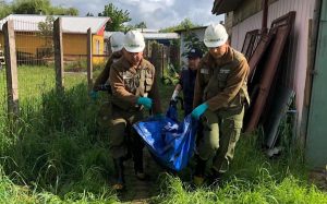 Joven murió tras incendio en su casa en Paillaco