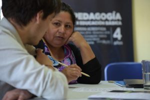 Estudiantes universitarios de Valdivia realizaron talleres de alfabetización