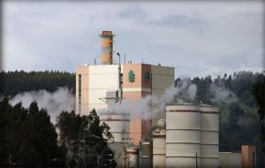 Un centenar de pescadores se querellarán en arista penal por contaminación de Celulosa Arauco