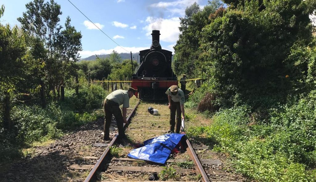 Hombre murió atropellado por el tren turístico “El Valdiviano”