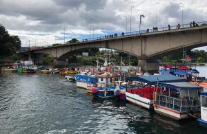 Anuncian multas contra embarcaciones de pescadores atracadas sin autorización en Valdivia