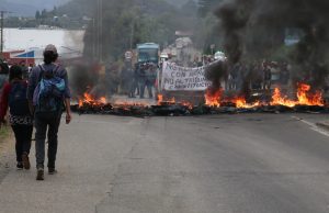 Pescadores artesanales Los Ríos esperan se promulgue Ley de la Jibia tras desistimiento de veto