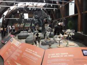 Más de 125 mil personas han visitado en Valdivia la expo "Dinosaurios, más allá de la extinción"