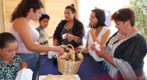 Integrantes de la junta de vecinos Flor del Lago abrieron feria costumbrista en el Riñihue