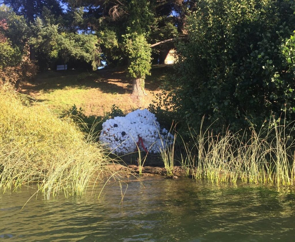 Estructura ganadora en la competencia de Corso Fluvial fue abandonada en cercanías del Jardín Botánico