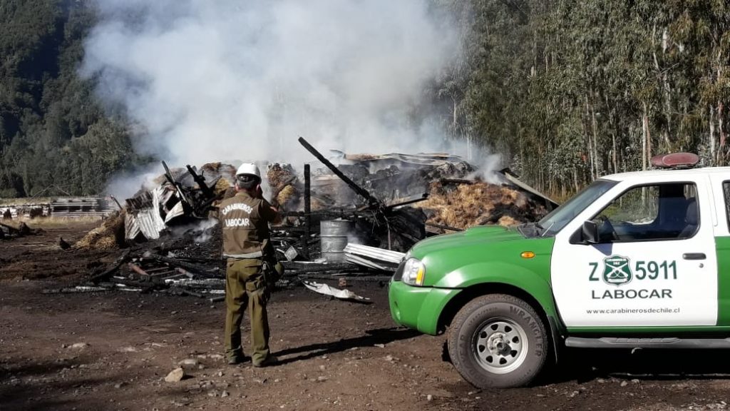 Incendio destruyó por completo un galpón con fardos en Coñaripe