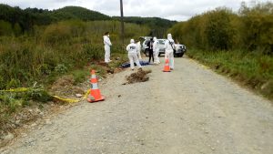 Detienen a segundo presunto implicado en muerte de hombre hallado maniatado al sur de Valdivia