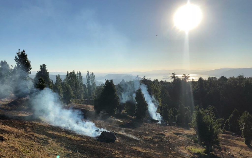 Alerta Roja por incendio forestal en cerro de Coñaripe cercano al Parque Nacional Villarrica