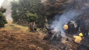 Controlan incendio en cerro de Coñaripe y cancelan Alerta Roja