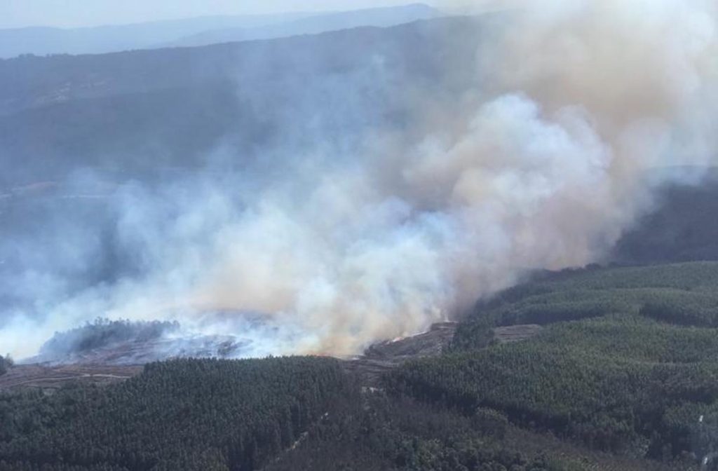 Incendios forestales en Los Ríos han arrasado unas 400 hectáreas de vegetación esta temporada