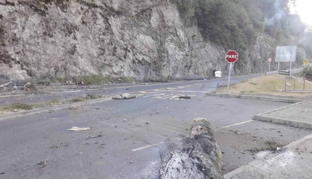 Ruta CH-203 permanece cortada por incendio forestal en Rucatrehua en Panguipulli