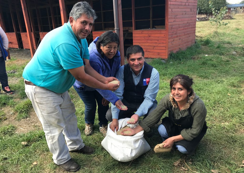 Seis agricultores representarán a Los Ríos en Congreso Mundial de la Quinua