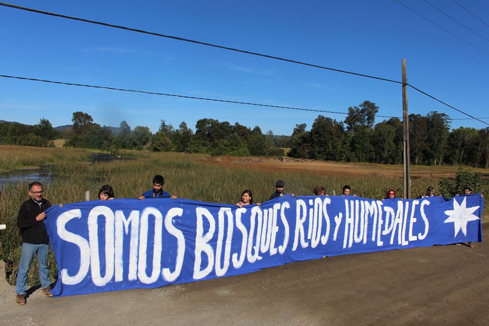 Red de Humedales protestó por el relleno al Humedal Angachilla de Valdivia