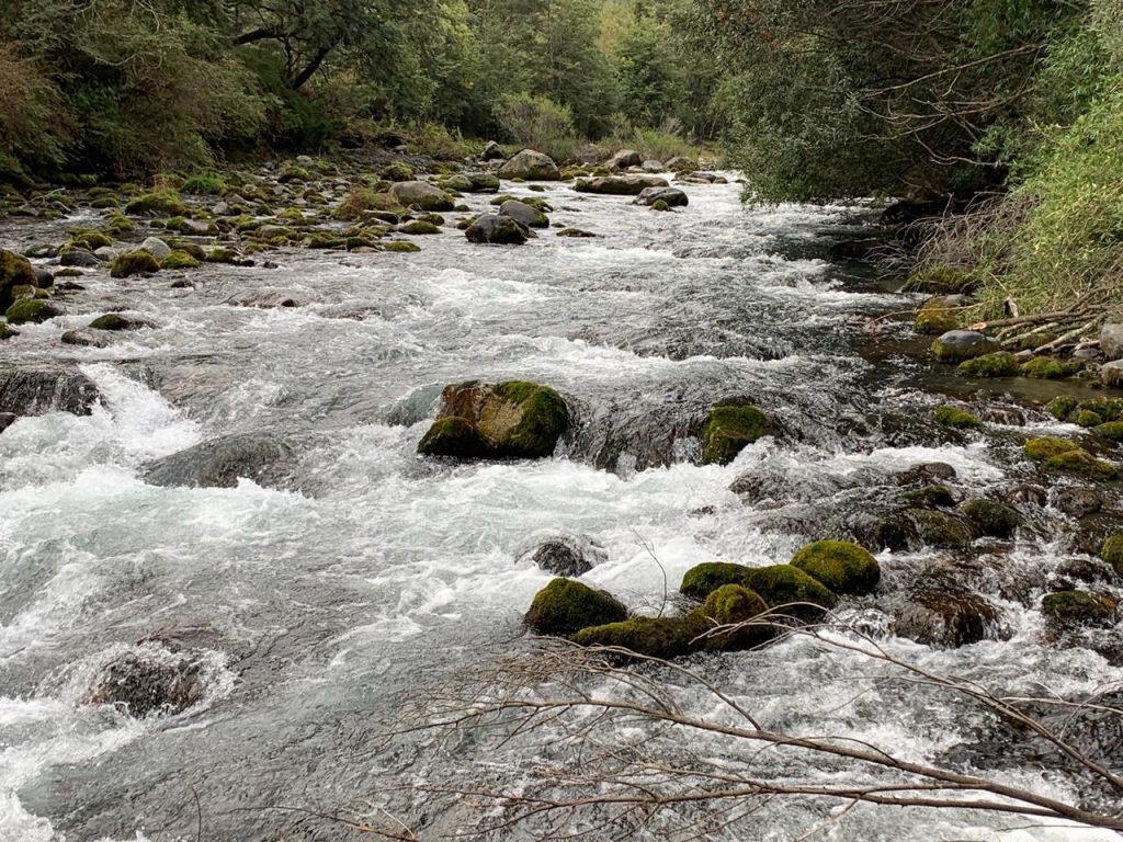 Día de la Tierra: ¿cómo afectará el cambio climático a la Región de Los Ríos?