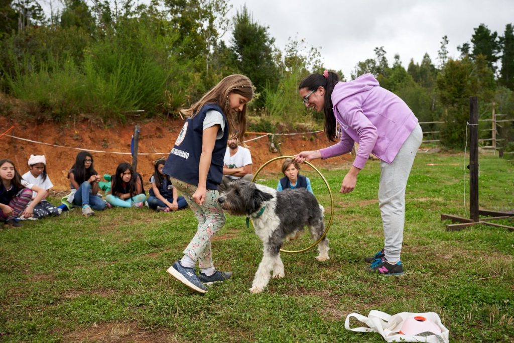 Proyecto de tenencia responsable busca enseñar a estudiantes de Los Ríos a relacionarse con sus mascotas