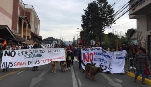 Estudiantes de Valdivia marcharon contra la "educación de mercado y el endeudamiento"