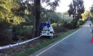 Hombre murió tras volcamiento de camión grúa en la ruta Los Lagos-Panguipulli