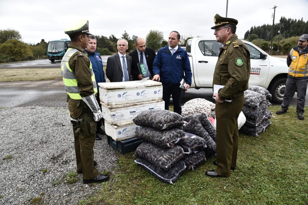 Decomisan cerca de 600 kilos de pescados y mariscos sin autorizaciones en La Unión