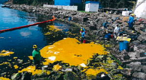 Blumar tendrá que aplicar medidas preventivas tras derramar 300 litros de aceite de pescado en la Bahía de Corral