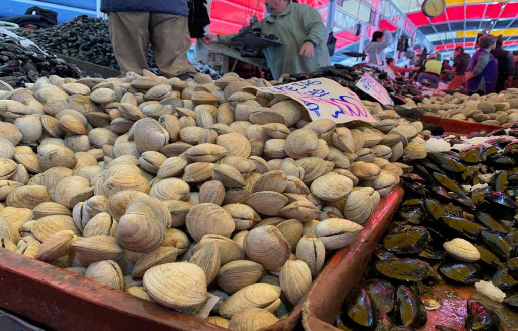 Los Ríos: Autoridad Sanitaria entregó consejos para consumo de productos del mar en Semana Santa