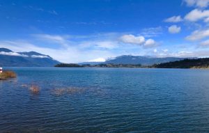 Invitan a participar de concurso fotográfico para difundir la naturaleza de la Región de Los Ríos