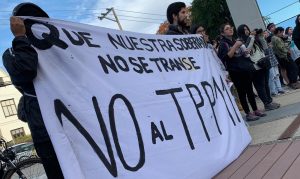 Con intervenciones en distintos puntos de Valdivia protestan contra el TPP11