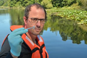 Expertos pretenden reconstruir la biodiversidad de mamíferos, aves, peces y anfibios que habitan los humedales de Valdivia