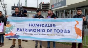 Denuncian "daño irreparable" en humedal de Teja Sur en Valdivia