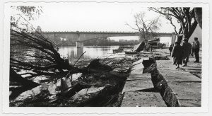 La devastación del Terremoto de 1960 en imágenes