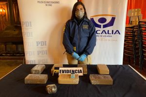 Detienen en el peaje de Lanco a individuo que trasladaba siete kilos de cocaína en un bus