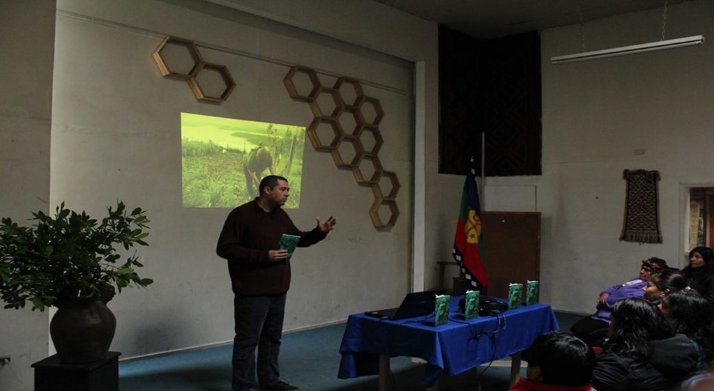 Libro sobre medicina del bosque rescata relatos mapuches de Panguipulli