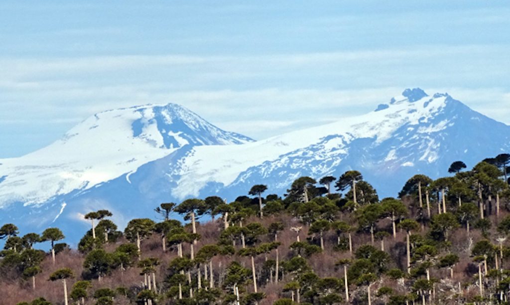 Proyectan reapertura de parques y reservas nacionales de Los Ríos para el próximo 18 de mayo