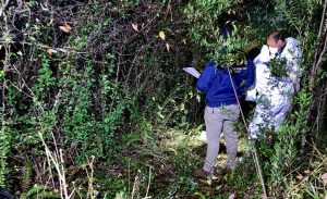 Hallan osamentas humanas en sitio eriazo del sector Guacamayo de Valdivia