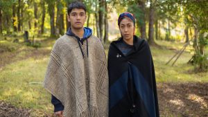 “Folil”: Los hongos y la historia mapuche inspiran nueva película en Los Ríos