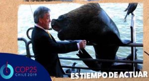 Día del Medio Ambiente: Presidente Piñera recordó cercano encuentro con lobo marino en Valdivia