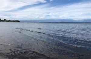 Fijan nuevo acceso libre a playa de lago Ranco en sector Quilín