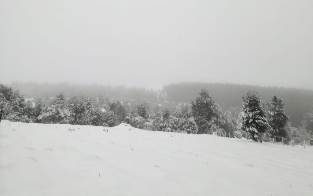 Los próximos días continuaría cayendo nieve en sectores precordilleranos y cordilleranos de Los Ríos