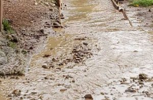 Vecinos de Los Pellines denuncian daño a cañerías de agua por mantención del camino