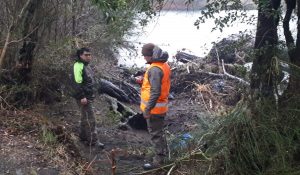 Hallan cuerpo bajo un puente en Liquiñe: Correspondería a joven de Coronel que cayó al río